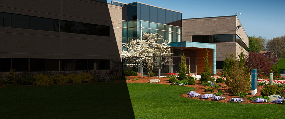 Camp Lejeune Landscapers