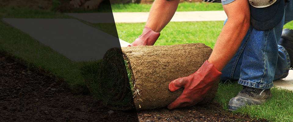 Camp Lejeune Landscapers